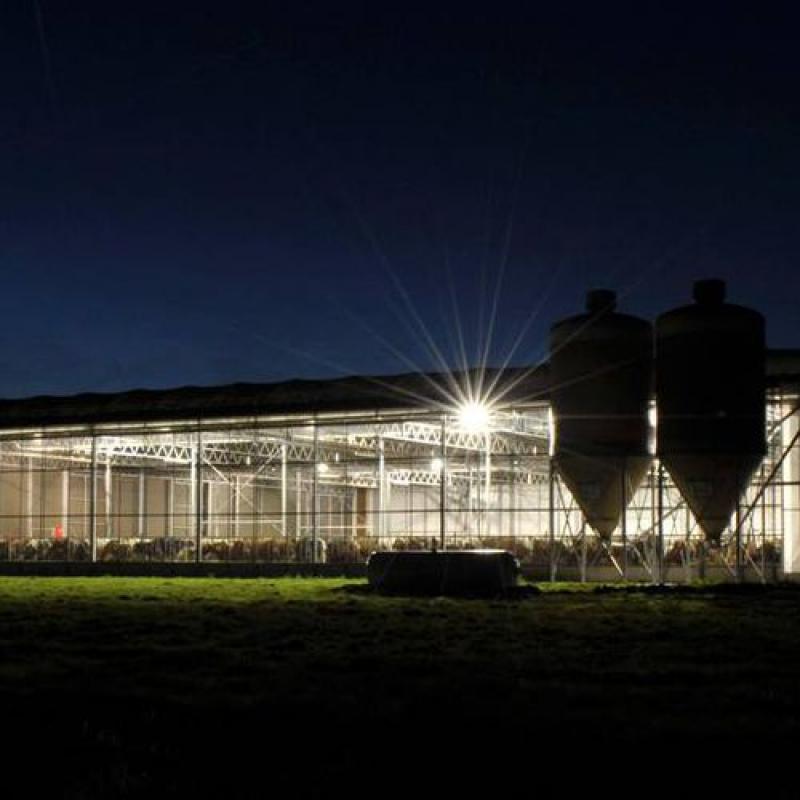 Farm with LED High Bay light 